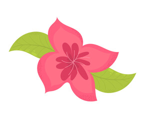 Illustration of a pink flower on a white background. Green leaves.