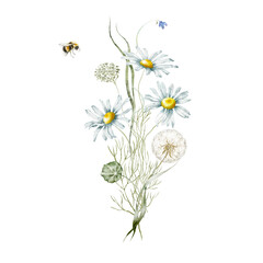 Watercolor floral illustration – Wildflowers arrangement: summer flower, blossom, bouquet.