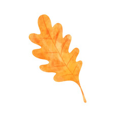 Autumn oak leaf