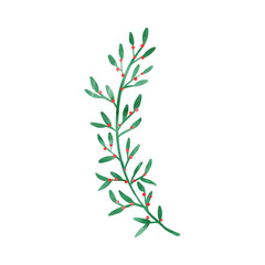 Branch of a tree with leaves
