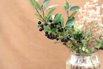 black rowan in a glass jar on a beige background