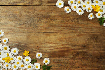 Beautiful flowers and leaves on wooden table, flat lay. Space for text