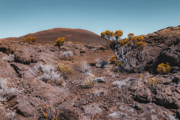 Plaine des sables