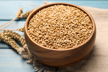 Wheat grains with spikelets on light blue wooden table, closeup
