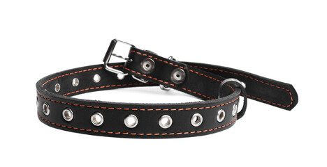 Black leather dog collar isolated on white
