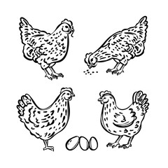 HEN CHICK SKETCHES And Eggs Symbol Of Holy Easter Holiday Hand Drawn Cartoon Monochrome Picture Farm Characters Clipart Vector Illustration Set For Print