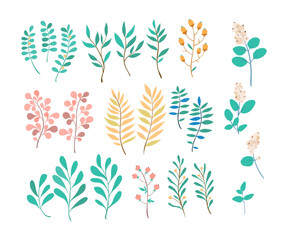 Wild flowers vector collection. Green herbs, leaves, wildflowers and berries. Vector illustration with different plants and branches.