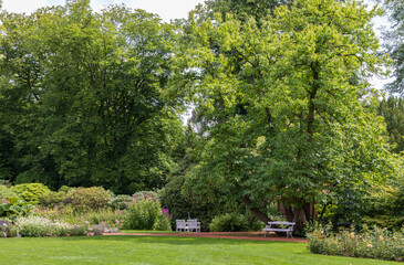 Fototapeta na wymiar Rose garden in castle park in Oldenburg in Lower Saxony in Germany Europe