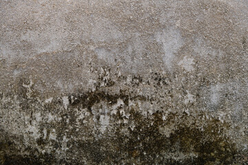 Background of the old cement wall