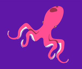 pink swimming  squid octopus - flat design vector graphic