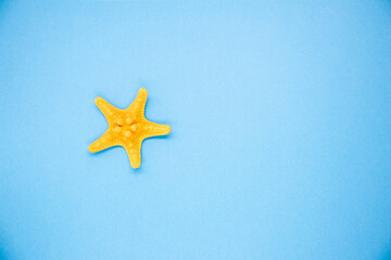 Fototapeta na wymiar Beautiful decorative starfish on a blue background. Close up.