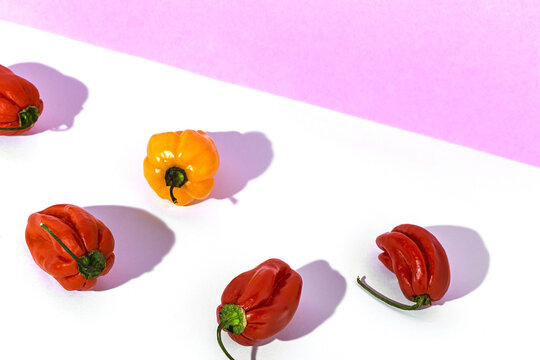 Red and yellow fresh peppers on table