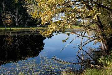 kleiner See bei Andechs in Oberbayern