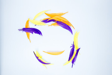 Beautiful decorative feathers on a blue background. Close up.