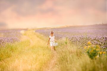 Dziewczynka na łąkowej drodze