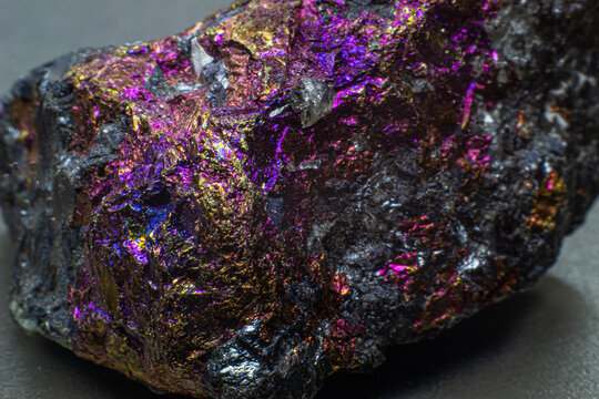 Focused macro raw colourful golden, pink and purple chalcopyrite isolated on gray background isolated