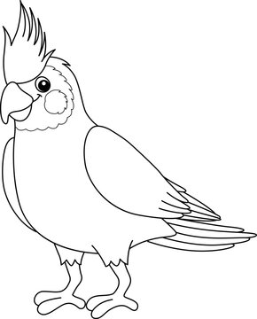recommend clip art: Cockatiel Animal Isolated Coloring Page for Kids