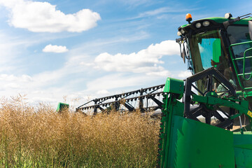 combine harvester picking up wheat on a sunny day. High quality photo