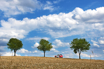 2CV auf einer Allee, Feld mit Bäumen unter blauem Himmel mit weißen Wolken.