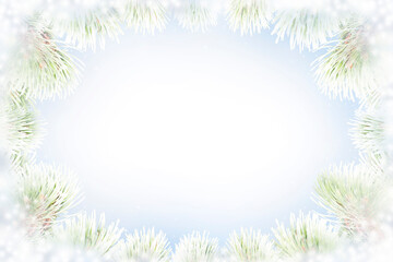 Fototapeta na wymiar Frame of snow-covered spruce branches on a blue background. Winter theme.