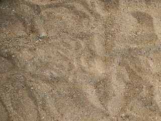 Top view sand beach with natural light, fill the frame with sand beach, surface with volume, flat lay template with blank space for copy and design.