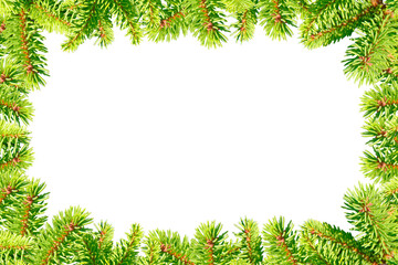 Frame of green Christmas tree branches isolated on white background.
