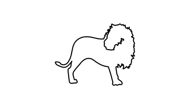 lion Sketch and 2d animation