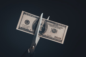 scissors cutting a dollar bill