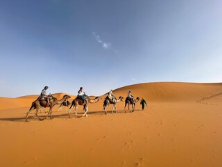 Tourists riding camels in the Sahara desert