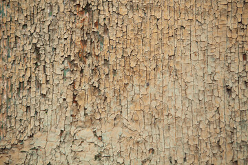 old rustic background with textures