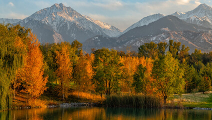 Fototapeta na wymiar Mixed forest against the backdrop of mountains in the autumn evening