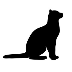 Vector flat hand drawn cat silhouette isolated on white background