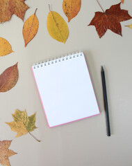 Autumn background with craft notebook mock up