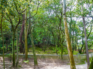 Tomb of Ganjin (Jianzhen) at the Toshodai-ji Temple in Nara, Japan