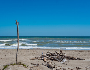 Adriatisches Meer mit Treibholz am Naturstrand