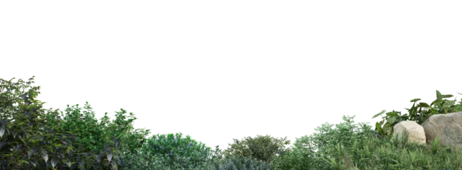Rolgordijnen Struiken en bloemen op een transparante achtergrond © jomphon