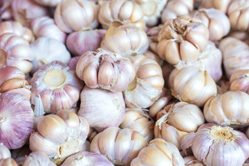 White garlic meat, fresh garlic in the market table. Close-up photo. Vitamins, healthy food, spices. Image of spicy cooking ingredients, pile of white garlic heads, white garlic heads, heap head