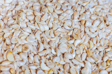 White garlic meat, fresh garlic in the market table. Close-up photo. Vitamins, healthy food, spices. Image of spicy cooking ingredients, pile of white garlic cloves, white garlic cloves, heap head