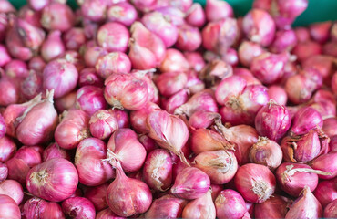 Shallot put together as a group in basket basket at the market, Fresh red onions background, shallots fresh purple in basket, Shallots close up ,Vegetables for health Shallots is herbal.