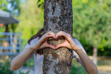 Women's hands show the heart in front of the tree trunk