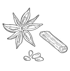 Cinnamon sticks hand drawn. Textured whole cinnamon pods in doodle style. Isolated vector illustration.