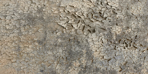 stone wall texture