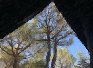 from tent to the trees