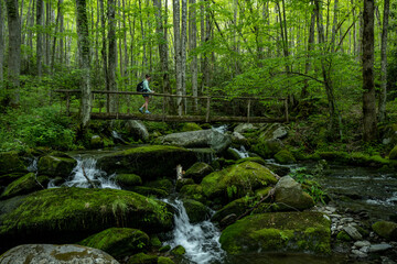 Hiker Crossing Jakes Creek In Great Smoky Mountains - obrazy, fototapety, plakaty