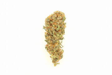 Dry cannabis buds flowers are on a white background