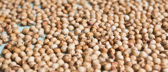 dried cherry pits texture background