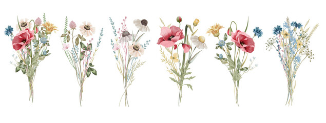 Wildflower bouquets. Meadow botanical flowers clipart. Pre-made watercolor flower arrangements.