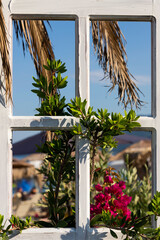 Vintage window frame decorated with flowers and palm tree leaves at the beach