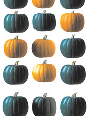 set of pumpkins isolated