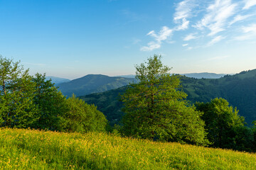 Naklejka na ściany i meble Carpathians mountains landscapes from green meadow on sunrise, Apetska mountain.